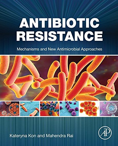 Antibiotic Resistance: Mechanisms and New Antimicrobial Approaches